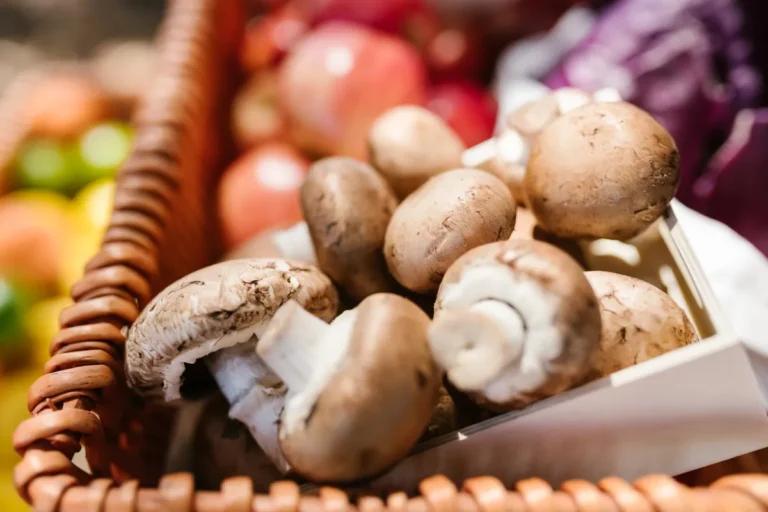 Mushroom Spoilage and Storage: What Food Experts Say About Salvaging the Pack mushroom spoilage and storage