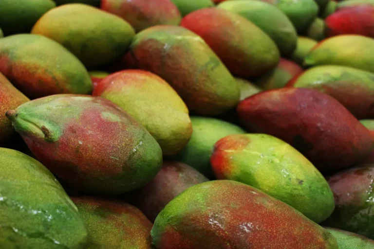Panorama Produce Mango Recall Pulls 302 Boxes From Walmart Shelves Panorama Produce mango recall