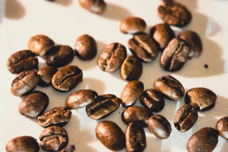Coffee Gut Health Effects Explained: What the Science Actually Shows coffee gut health effects