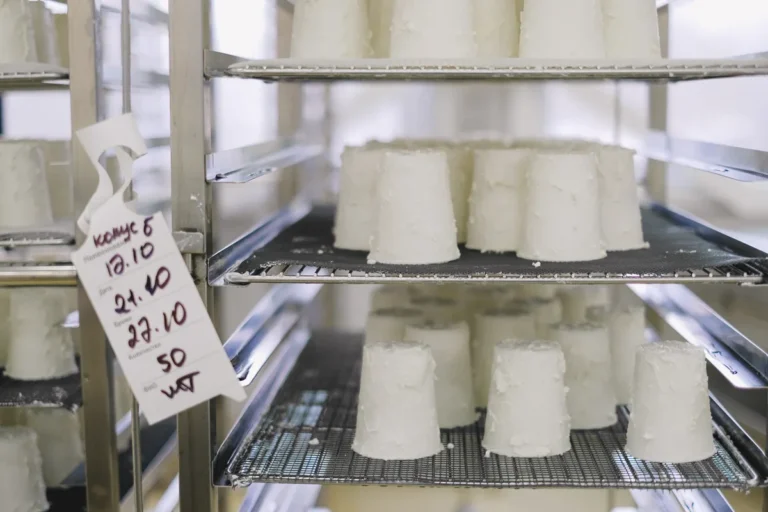 Fast Food Real Cheese: Which Major Chains Actually Serve It fast food real cheese