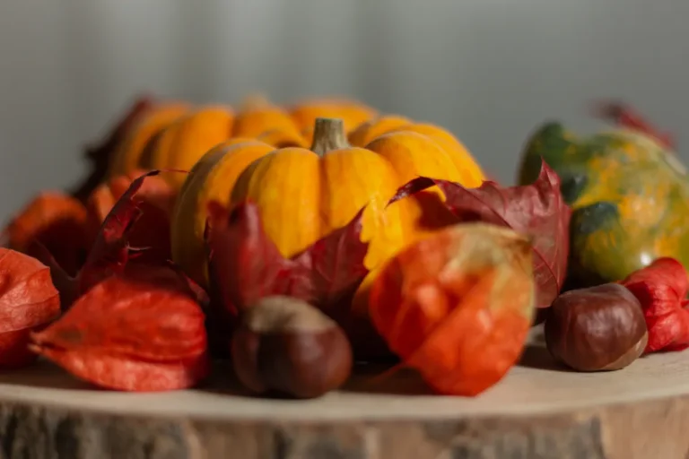 Joe Otway’s early autumn recipes: cheese tart, corn salad, squash and radicchio Colorful autumn display featuring pumpkins, chestnuts, and vibrant fall leaves